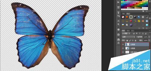 AE中怎么导入ps图片制作蝴蝶纷飞的动画?