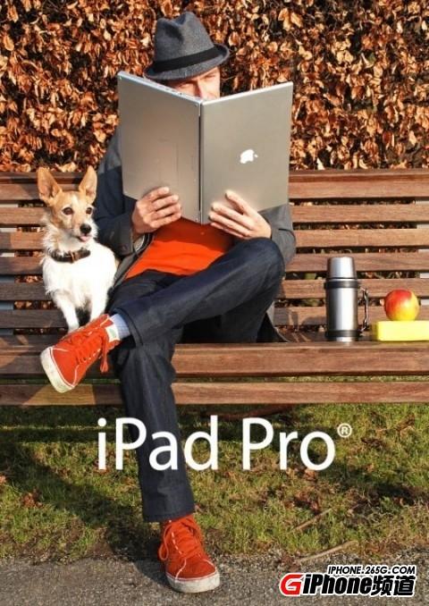 12.9寸iPad Pro的内存多大?