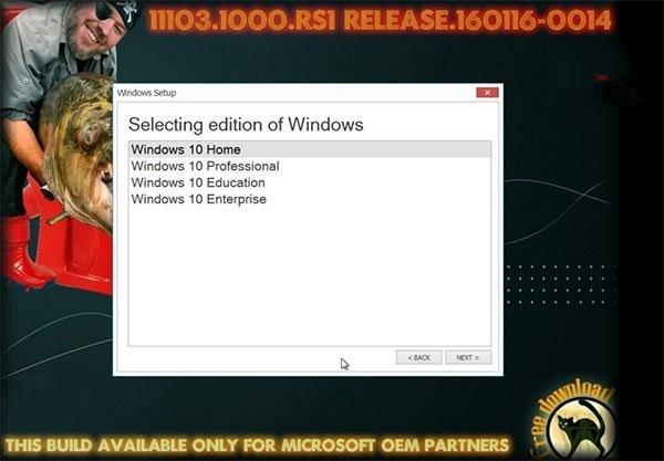 Win10 RS1预览版11103系统ISO英文版镜像下载