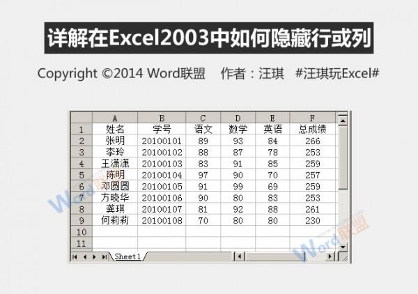 教大家怎么在Excel2003中如何隐藏行或列