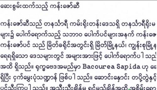 缅甸北部文字图片