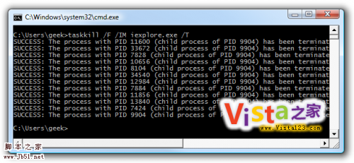 巧用命令一次关闭Vista下多个IE8进程