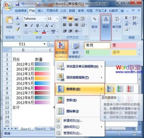 教你在Excel2007中制作出多彩的单元格数据