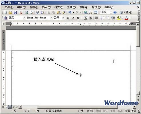在Word 2003文档窗口中定位插入点光标位置