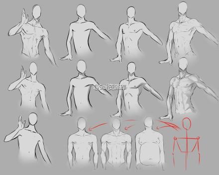 sai男性身体绘画参考