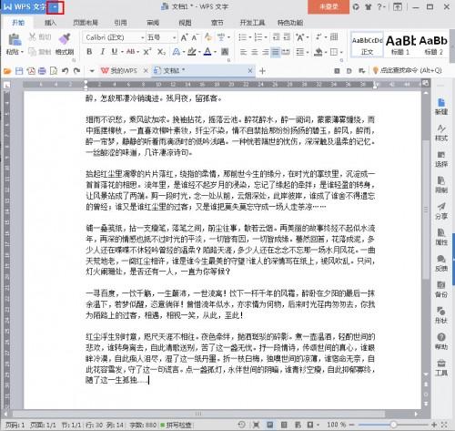 wps excel不能撤销了