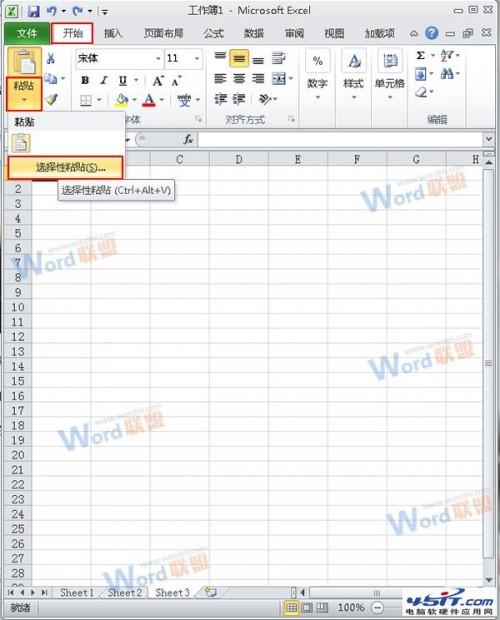 怎么把Word的内容以图片格式插入到Excel2010中? 1