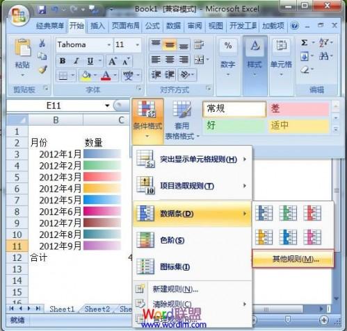 教你在Excel2007中制作出多彩的单元格数据