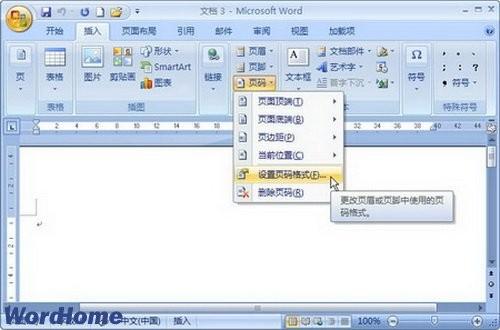 Word2007文档中设置页码格式图文教程