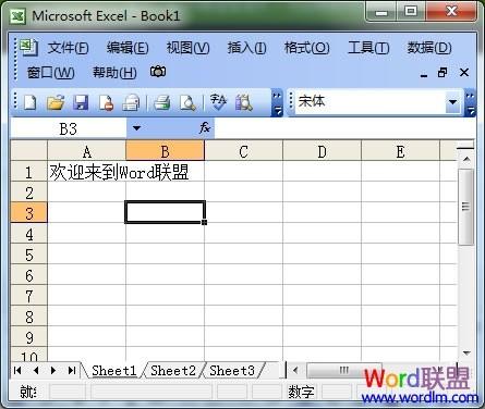 Excel表格自动换行