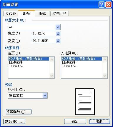 Word 2003文档中设置纸张和文档网格