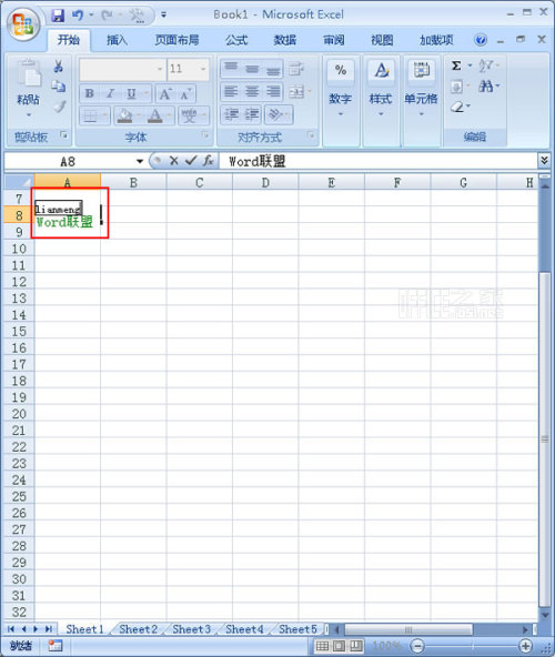 Excel2007中如何给一些陌生汉字标注拼音字母?