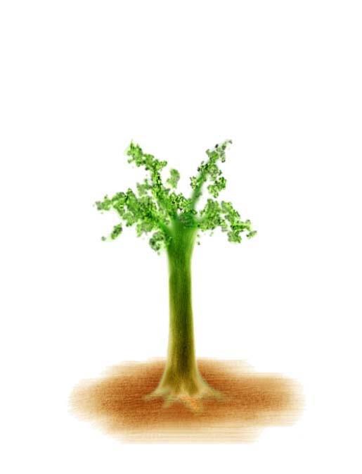 ppt怎么制作树苗慢慢成长成大树的动画?