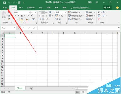 Excel2016如何设置直接开一个空白工作簿