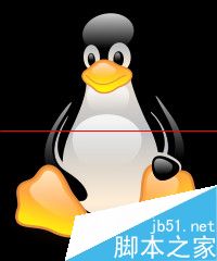 Linux操作系统支持常用的文件系统有哪些?