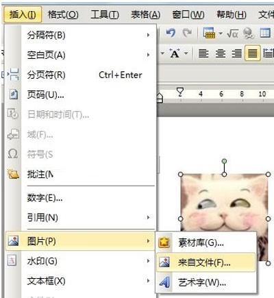 如何用WPS制作个性化模板