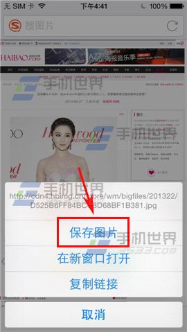 搜狗搜索手機版如何保存圖片至手機