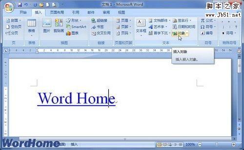 如何在Word2007文档中插入文件对象