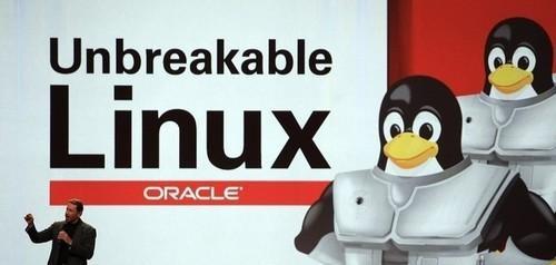 十大最流行的Linux服务器
