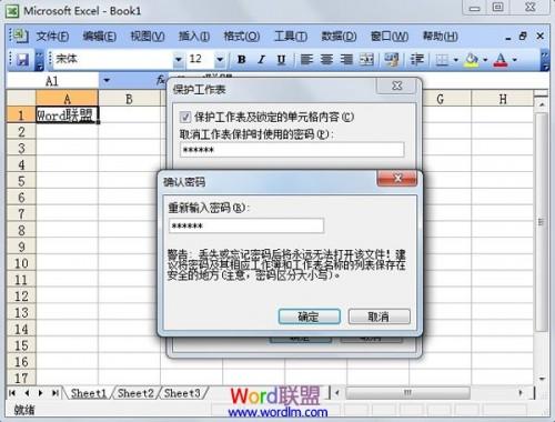 Excel 2003单元格保护设置