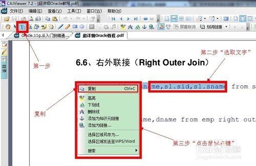 PDF中文字如何复制 如何从pdf复制文字