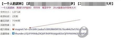 qq旋风能下载磁力链接吗?QQ旋风怎么下载磁力链接?