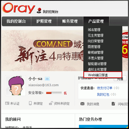 Oray如何开通WEB端口穿透服务