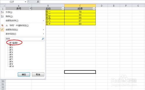 Excel中如何进行筛选