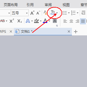 WPS文档中怎么转换全角/半角符号?