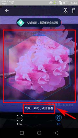 此外,还能从相册中选取所拍摄的话进行扫描识别哦~更能使用"拍照识花"