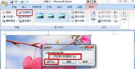 win7系统在Office2007 Word文档中插入图片后无法显示怎么办