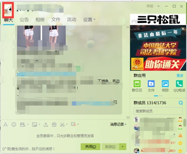 如何查看qq群人数上限