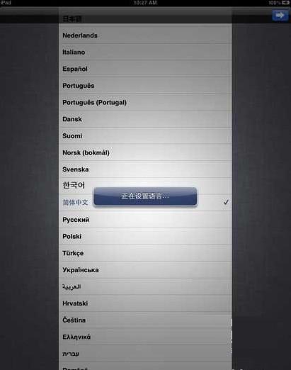 The new iPad激活教程