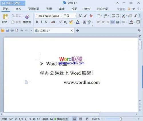 WPS文字2013项目符号的插入