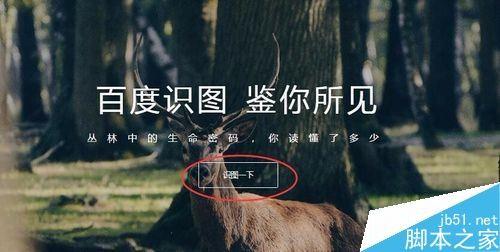 百度怎么搜图识别?百度识图功能教程