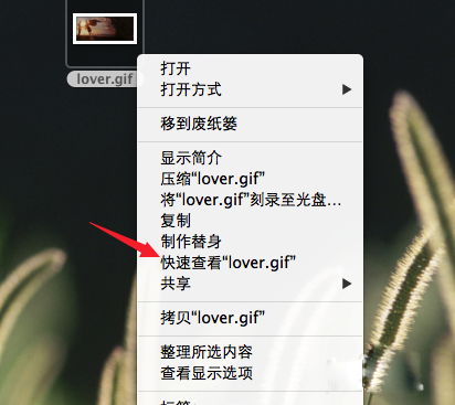 Mac系统怎么查看gif图片?