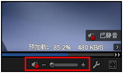 搜狐视频全屏画面白屏怎么办