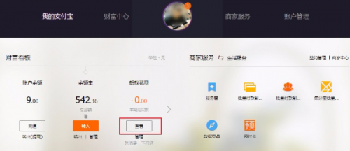 如何查看蚂蚁花呗的消费明细和还款流水?