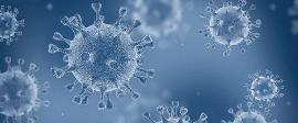 美国 Moderna 新冠病毒疫苗取得阶段性成功：人体产生抗体