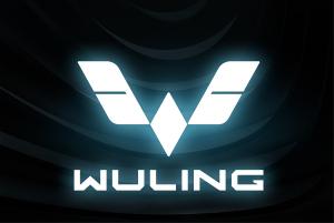 五菱新车标：全球银标/扁平化设计/整体辨识度较高