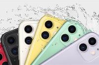 iPhone 11成2020一季度最受欢迎智能手机  其次是三星和小米