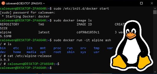微软将在 Windows 系统映像中删除 Linux 内核