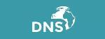 新的DNS漏洞使攻击者可以发起大规模DDoS攻击