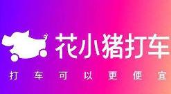 "花小猪"被多地叫停 司机无证上岗面临扣车罚款风险