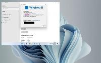 最新版本曝光：隐藏的Windows 11 &quotSE"浮出水面