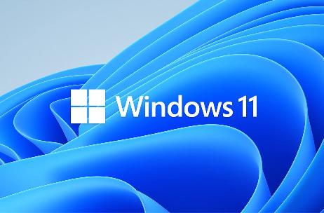 Windows 11 开发版出现循环自动安装错误