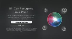 苹果 tvOS 16.2 Beta 测试版苹果在 Apple TV 上启用了 Siri 语音识别功能