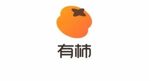 抖音推出“有柿”App，功能类似小红书