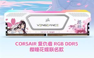 海盗船和盈通推出复仇者 RGB DDR5 樱瞳花嫁联名款内存