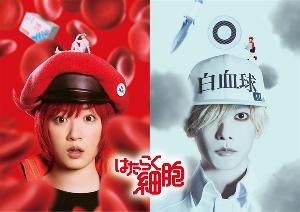 《工作细胞》真人版定档 12 月 13 日上映